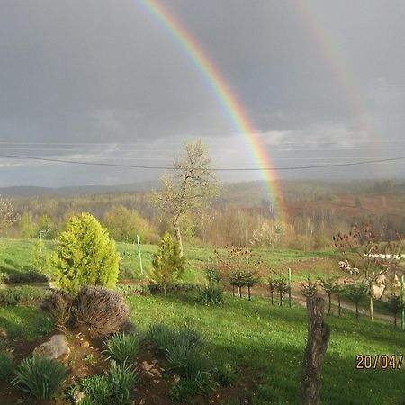 רקוביצה Lavanda Farm Apartmani מראה חיצוני תמונה