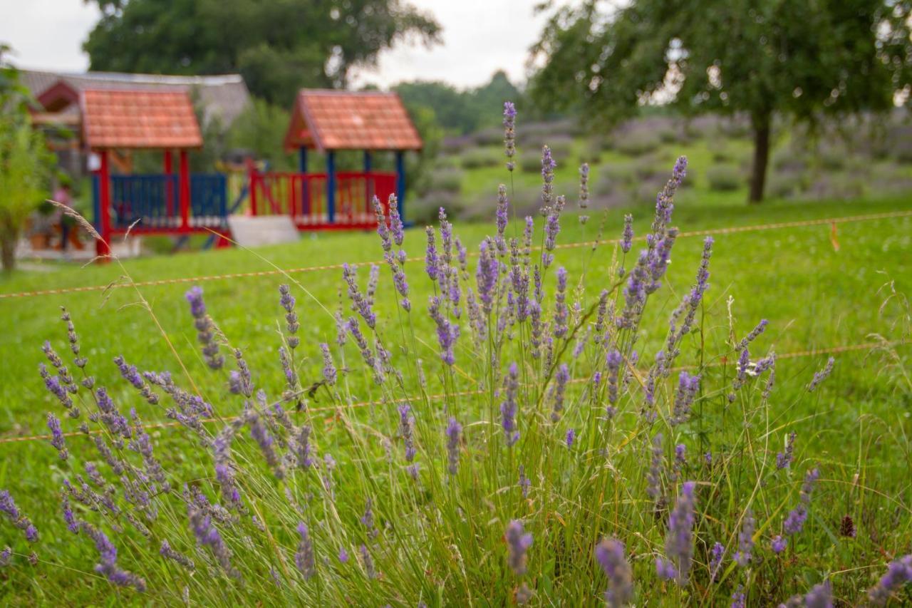 רקוביצה Lavanda Farm Apartmani מראה חיצוני תמונה