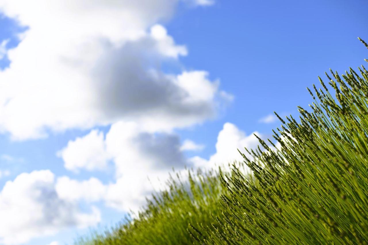 רקוביצה Lavanda Farm Apartmani מראה חיצוני תמונה