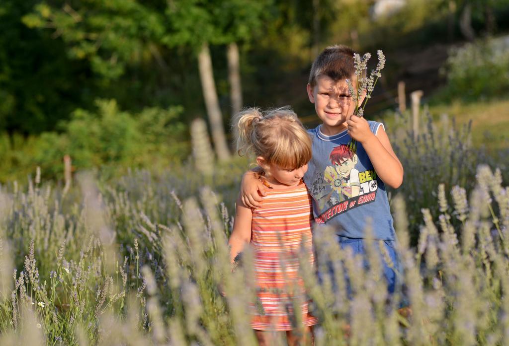 רקוביצה Lavanda Farm Apartmani מראה חיצוני תמונה