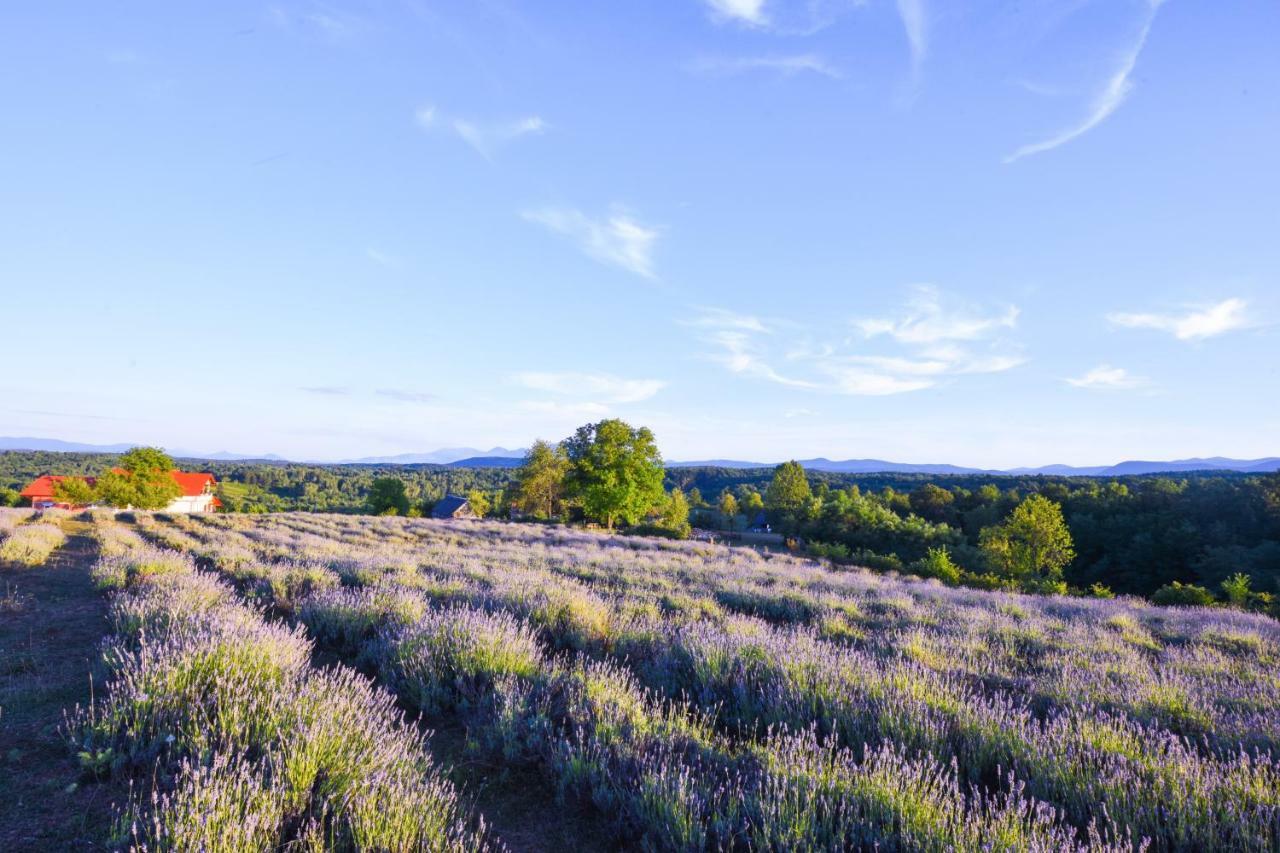 רקוביצה Lavanda Farm Apartmani מראה חיצוני תמונה