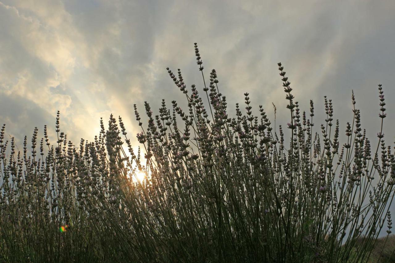 רקוביצה Lavanda Farm Apartmani מראה חיצוני תמונה