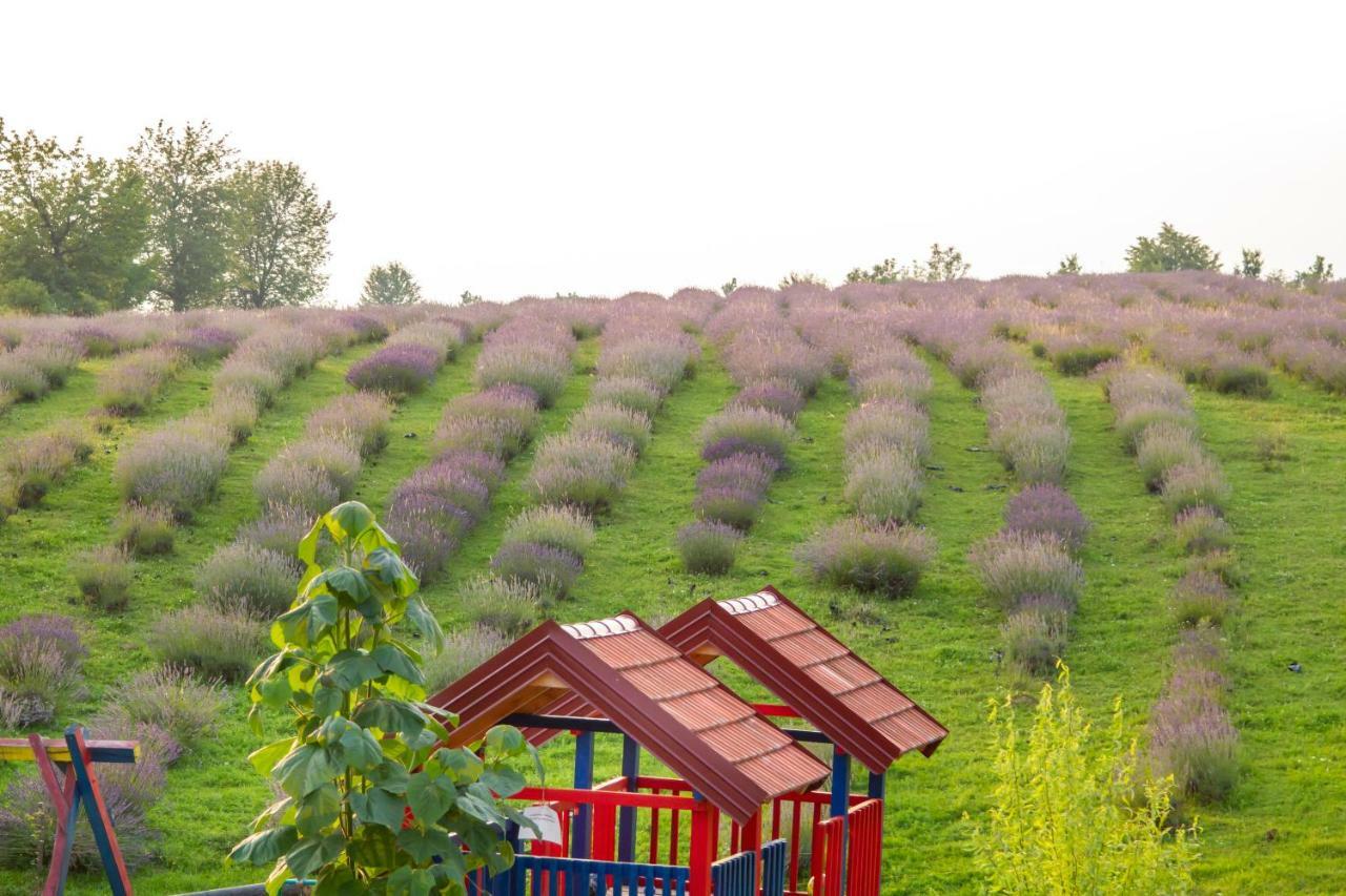 רקוביצה Lavanda Farm Apartmani מראה חיצוני תמונה